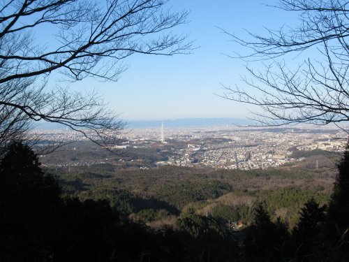 物見山